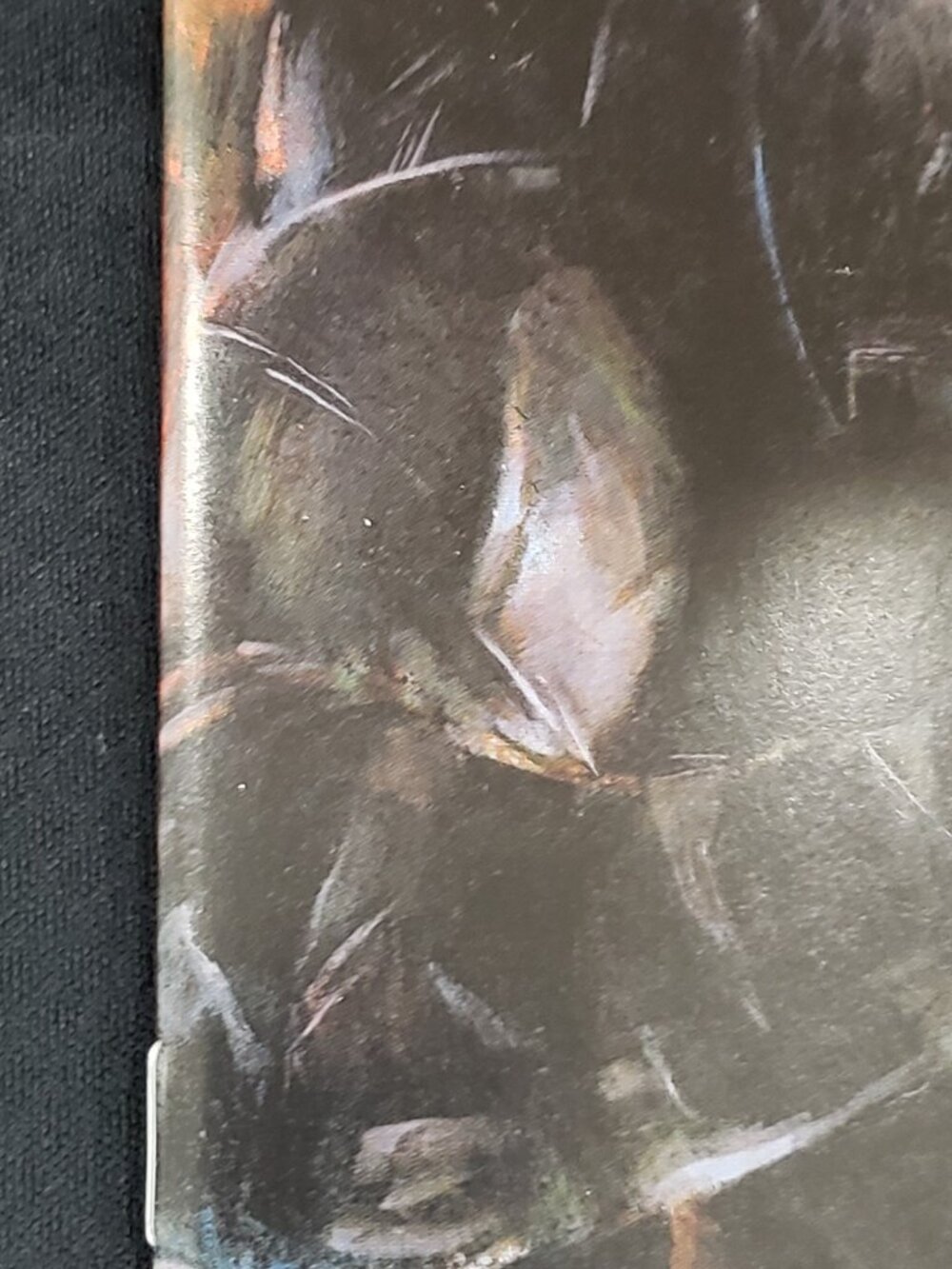 Absolute Batman #20 Martin Simmonds 1:25 1st App Absolute Robins Snyder Dragotta - Picture 7 of 9